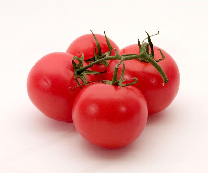 Red fresh tomato, for Cooking, Packaging Type : Net Bag