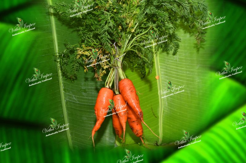Natural Fresh Carrot, for Food