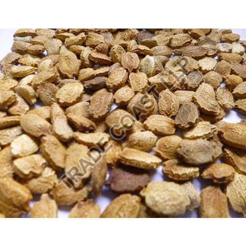 Brown Raw Natural Bitter Gourd Seeds, for Human Consumption, Animal Feed, Grade Standard : Food Grade