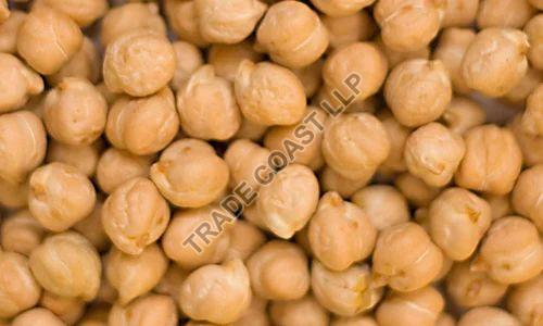 Brown Solid Natural Chickpeas, for Cooking, Grade Standard : Food Grade