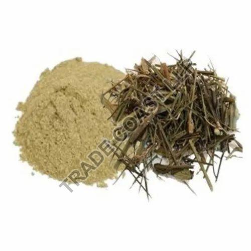 chirata powder
