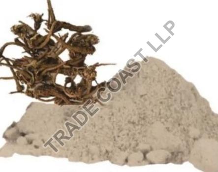Eranda Mool Powder, Packaging Type : Polythene Bag