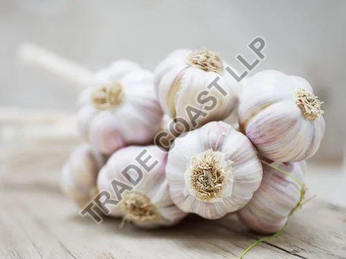 Organic Fresh Garlic, for Snacks, Fast Food, Cooking, Feature : Moisture Proof, Natural, Gluten Free