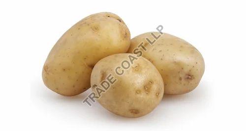 fresh potato