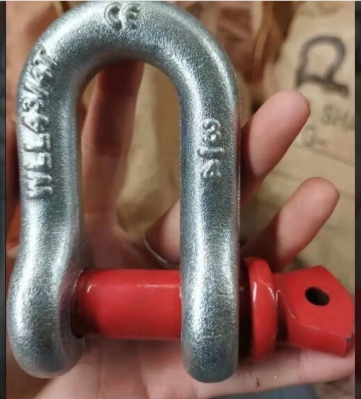 Alloy Steel d shackle, Size : 6 MM TO 55 MM