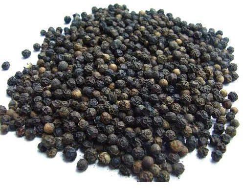 Raw Black Pepper Seed, for Food, Spices Human Consumption, Packaging Type : Plastic Packet