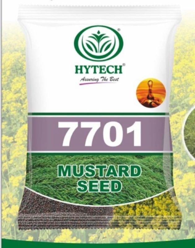 Solid Natural Hytech 7701 Mustard Seeds, for Agriculture, Packaging Type : Plastic Packet