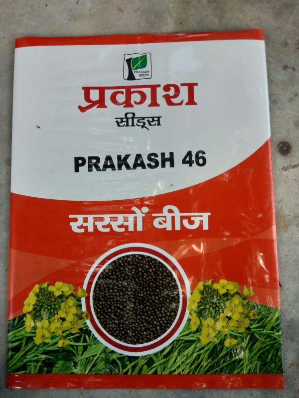 Prakash 46 Mustard Seeds