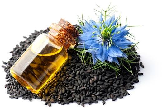 Organic Nigella Sativa Seed Oil, for Anti Inflammatory, Nutraceutical ...