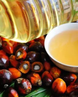 palm oil