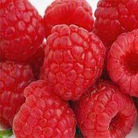 Raspberry Flavor, For Nutrition Supplement Products, Color : Dark-red