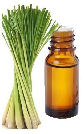 Common Lemongrass Oil, Feature : Purity