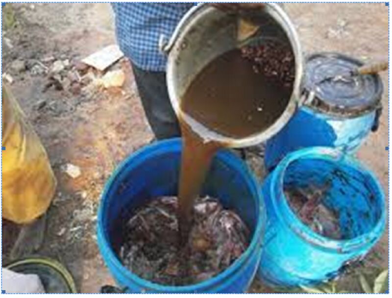 Organic Waste Composting Culture, for Agriculture