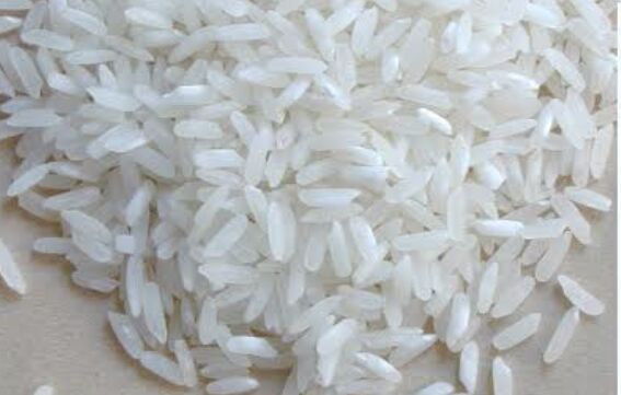 Long Grain Rice, Color : creamy