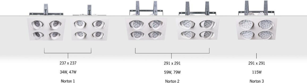 Norton Recessed Four Directional Luminaire