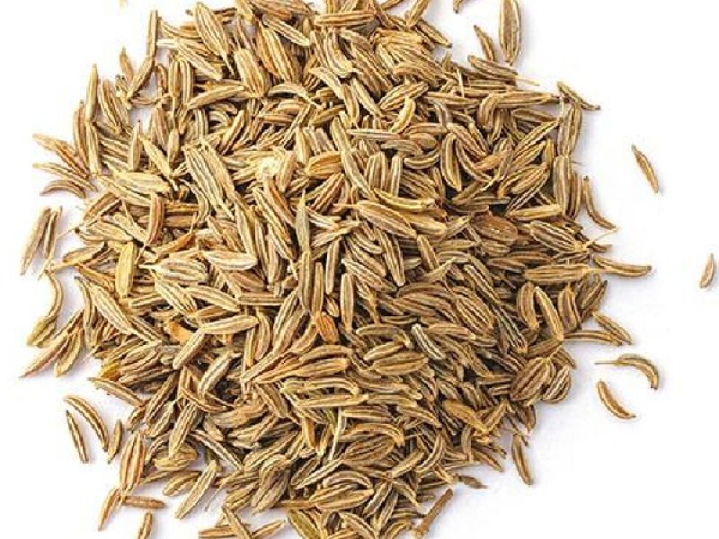 NAMOX Common cumin seeds, Grade Standard : Food Grade