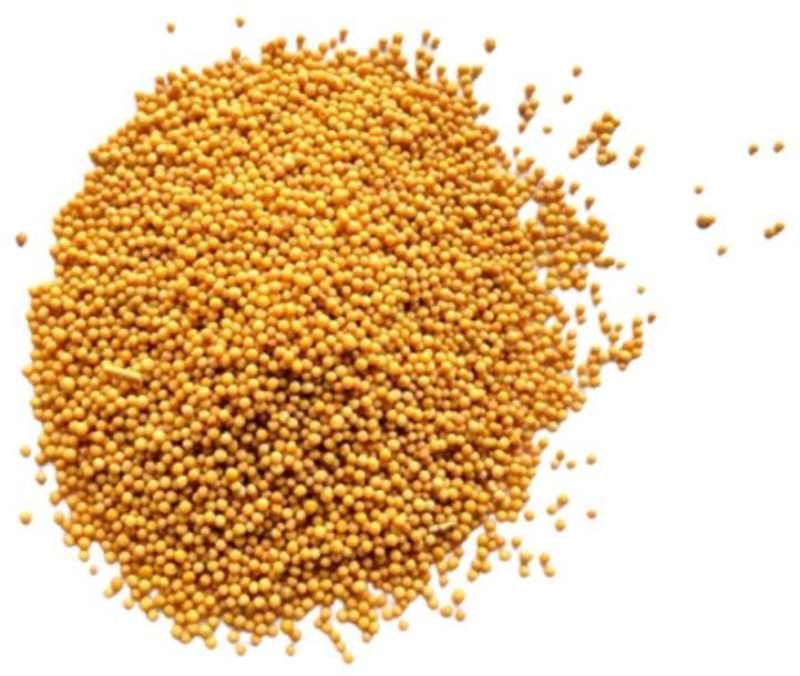 Yellow Mustard Seeds