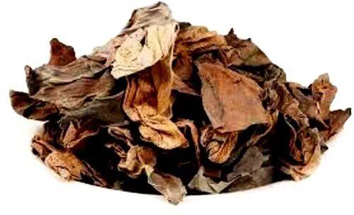 Dried Lotus Flower