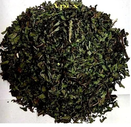 Peppermint Leaves, Packaging Type : Packet