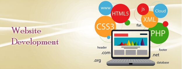 Cutomised website development