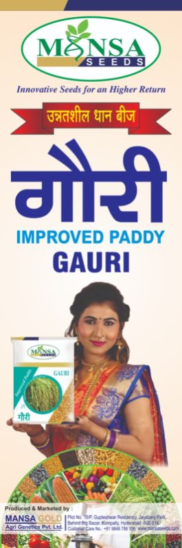 Gauri Improved Paddy Seeds, for Agriculture, Packaging Type : PP Bag