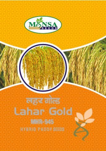 Lahar Gold MHR-945 Hybrid Paddy Seeds, for Agriculture, Packaging Type : PP Bag