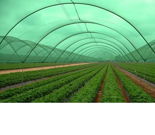 HDPE Plastic Agricultural Shade Net, Color : Green, Black, Blue, White, etc