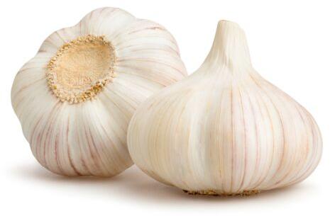 Common fresh garlic, for Cooking, Style : Solid