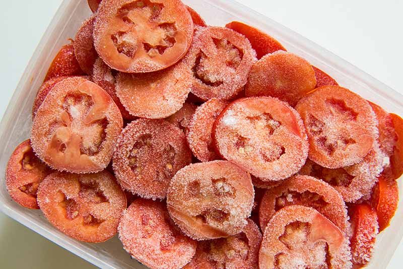 Natural Frozen Tomato, for Cooking, Packaging Size : 25Kg