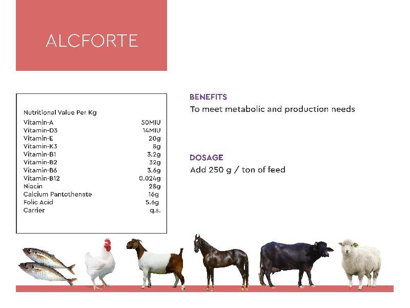 Alcforte Poultry Feeds Supplements, Form : Powder