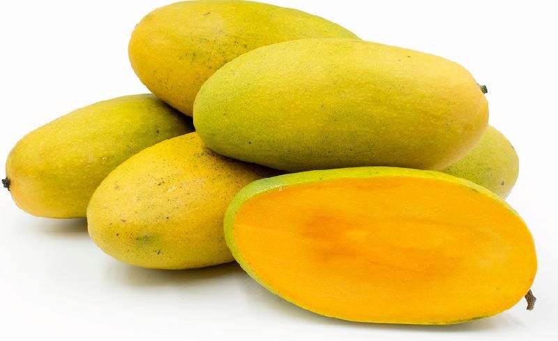 Natural Fresh Dasheri Mango, Specialities : Good For Nutritions, Hygienically Packed