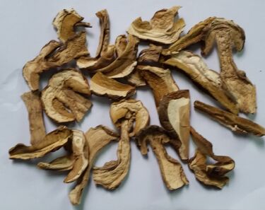 Dried Porcini Mushroom, Shelf Life : 2 Years