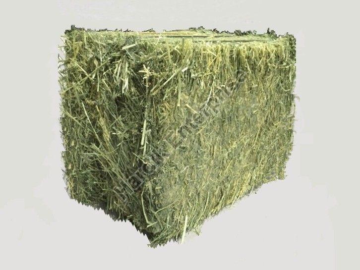 Alfalfa Hay, Packaging Size : 25-50Kg