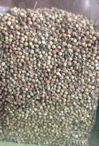 Dry Coriander Seed, Packaging Size : 50-100 g