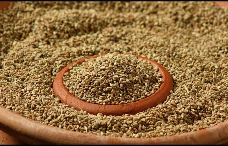 Organic Ajwain, for Food Medicine, Spices, Cooking