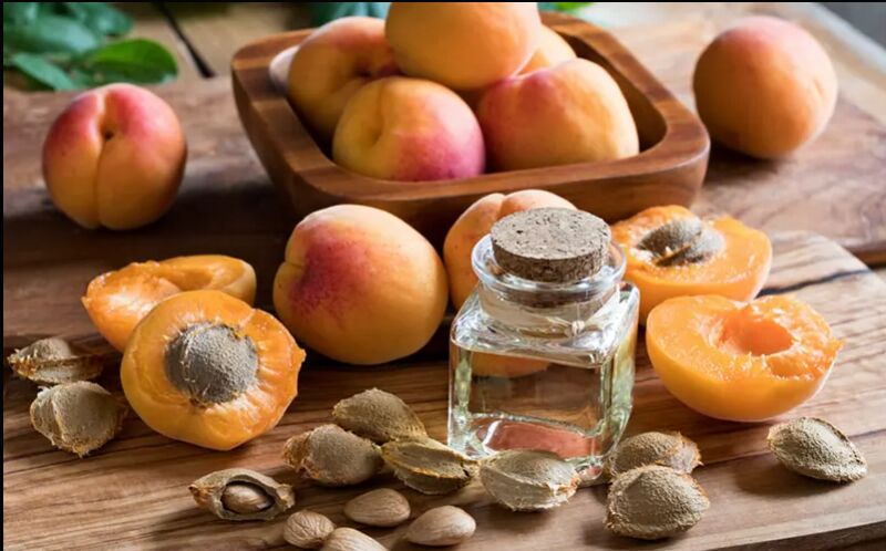 Apricot Oil, for Antitussive, Anti-Asthmatic, Anti-Inflammatory, Anti-Pyretic, Calmative