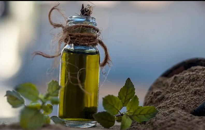 Brahmi Oil, for Tensions, Anxiety, Restlessness, Joint Pains, Hair Fall ...