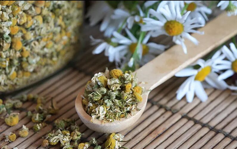 Chamomile Extract, Packaging Size : 10 Kg To 25 Kg