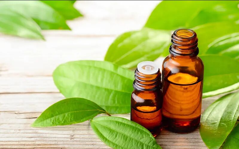 Cinnamon Leaf Oil, For Antiseptic, Antispasmodic, Aphrodisiac, Carminative, Digestive