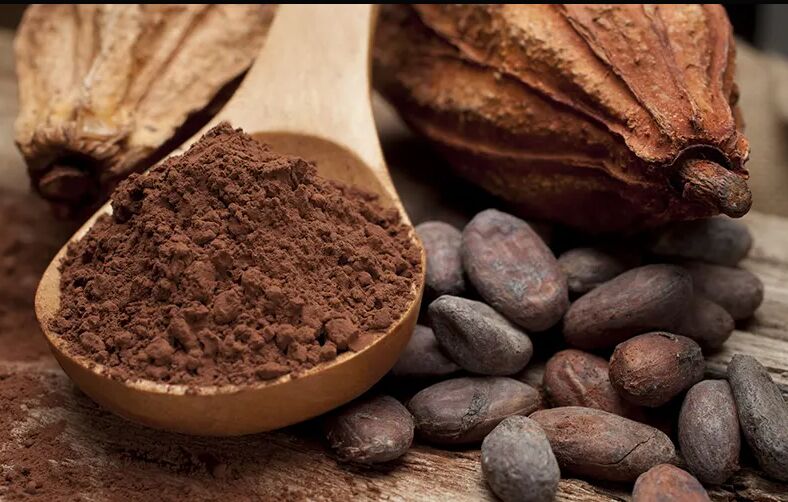 Cocoa Seed Extract, for Antioxidant, Cardiovascular support