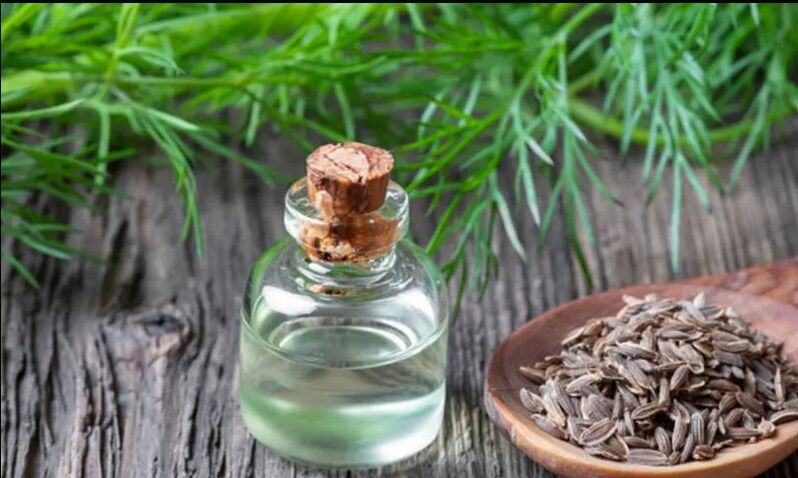 Dill Seed Oil, For Stimulating, Revitalizing, Restoring, Purifying, Balancing