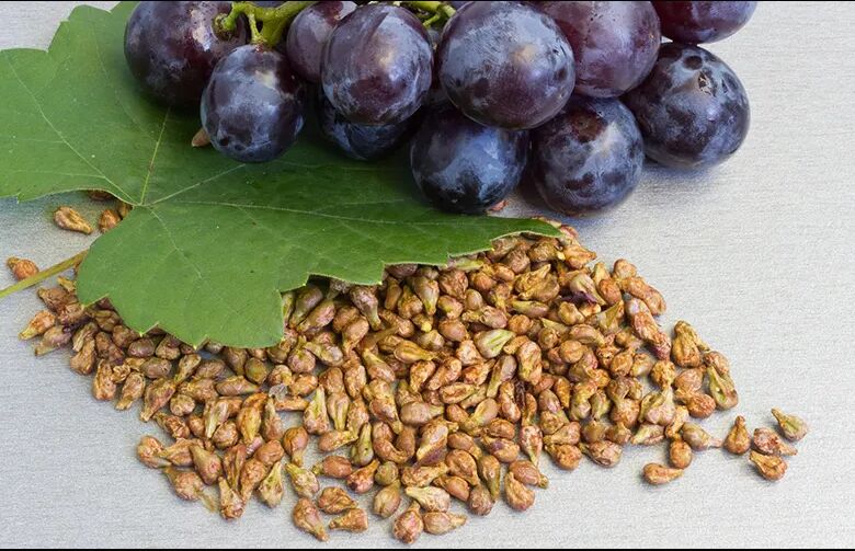 Grape Seed Extract, for Antioxidant