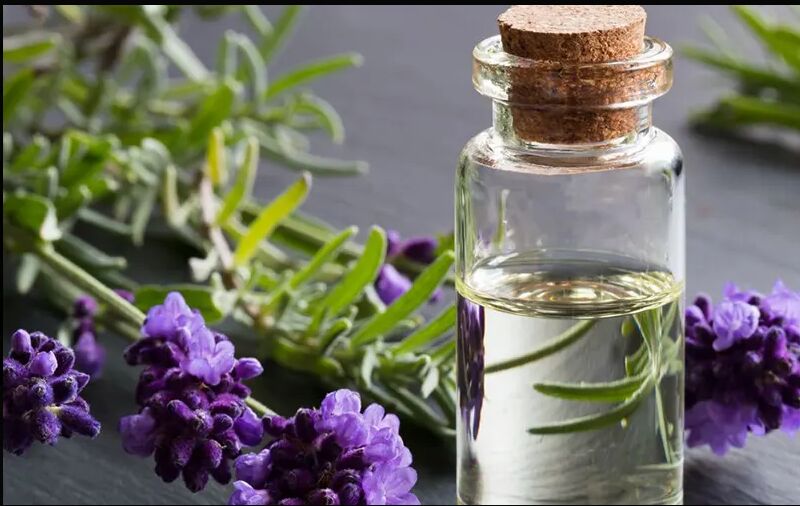 Lavender Oil, For Anti Oxident, Anti Septic, Anti Fungal, Anti-inflammatory, Digestive