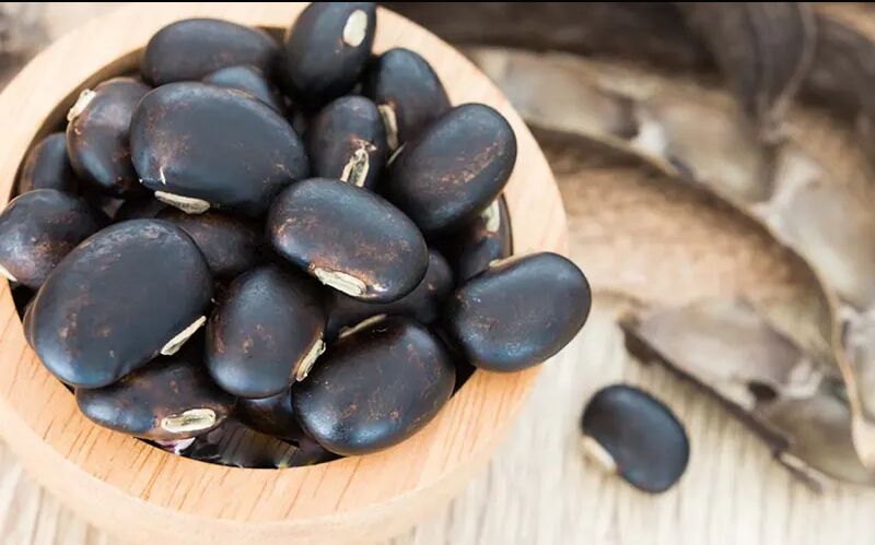 Mucuna Pruriens Extract, for Tonic, Energy