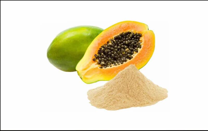 Papaya Powder, for Food