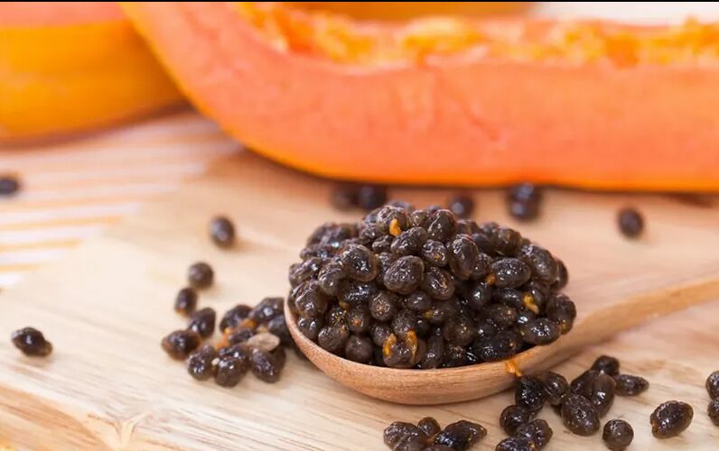 Papaya Seed Extract