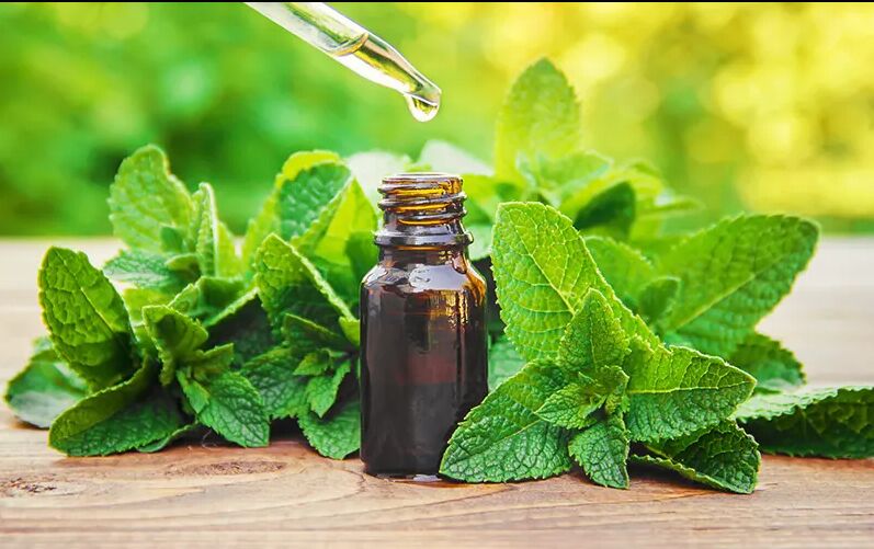 peppermint oil