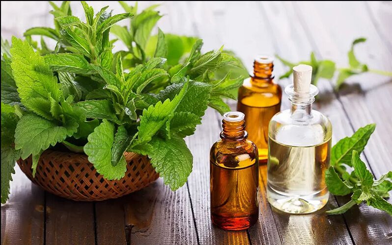 Spearmint Oil, for Anesthetic, Antispasmodic, Astringent, Carminative, Decongestant