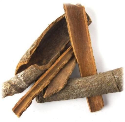 Ashoka Bark Dry Extract