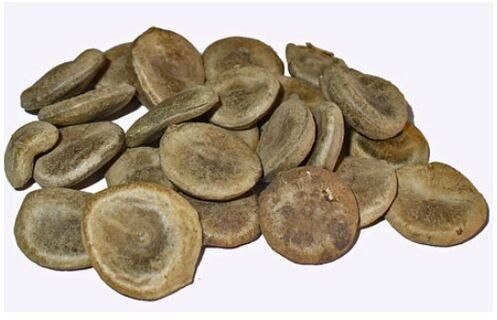 Kuchla Dry Extract